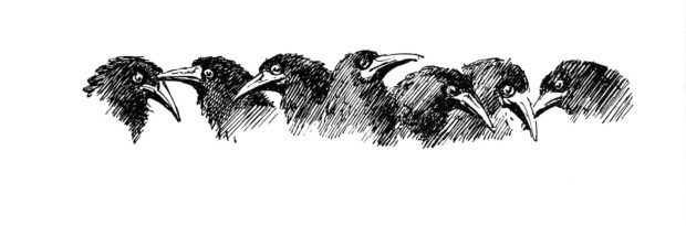 tumblr_o39du1pgzz1rp1q8wo1_500h